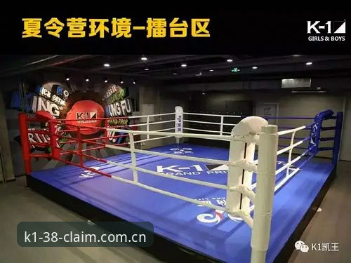 K1体育体验平台扒盘操作详解：从下载到实战的完整指引